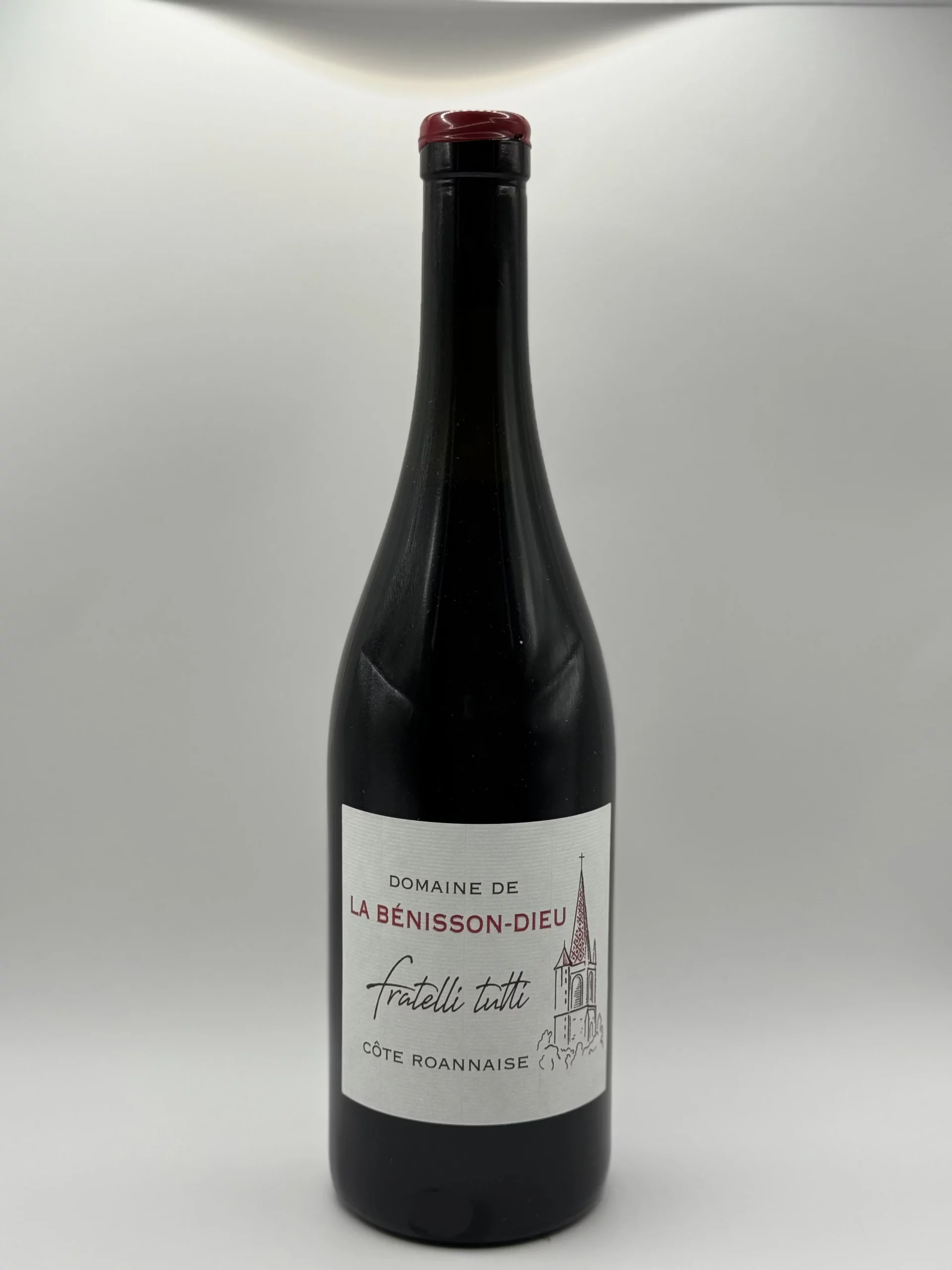 Domaine Bénissons Dieu Gamay Saint Romain 2023