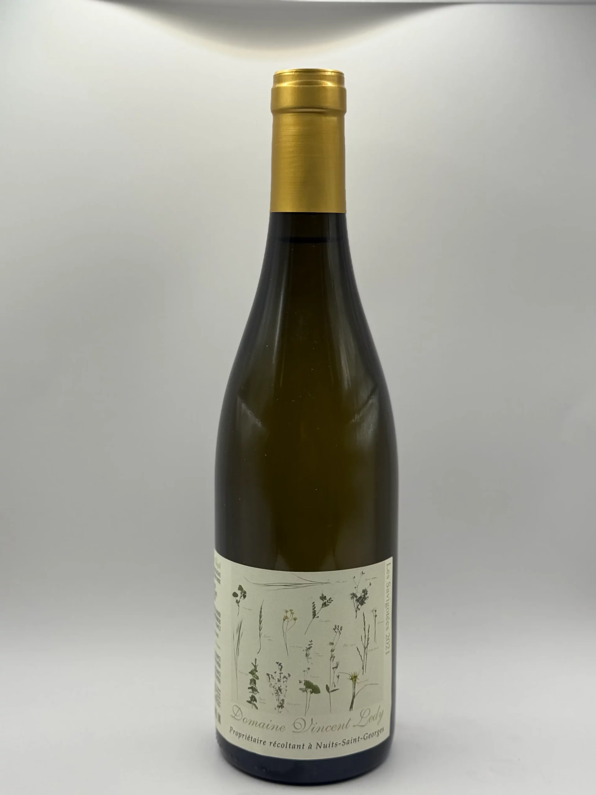 Domaine Vincent Ledy Bourgogne Aligoté 2021