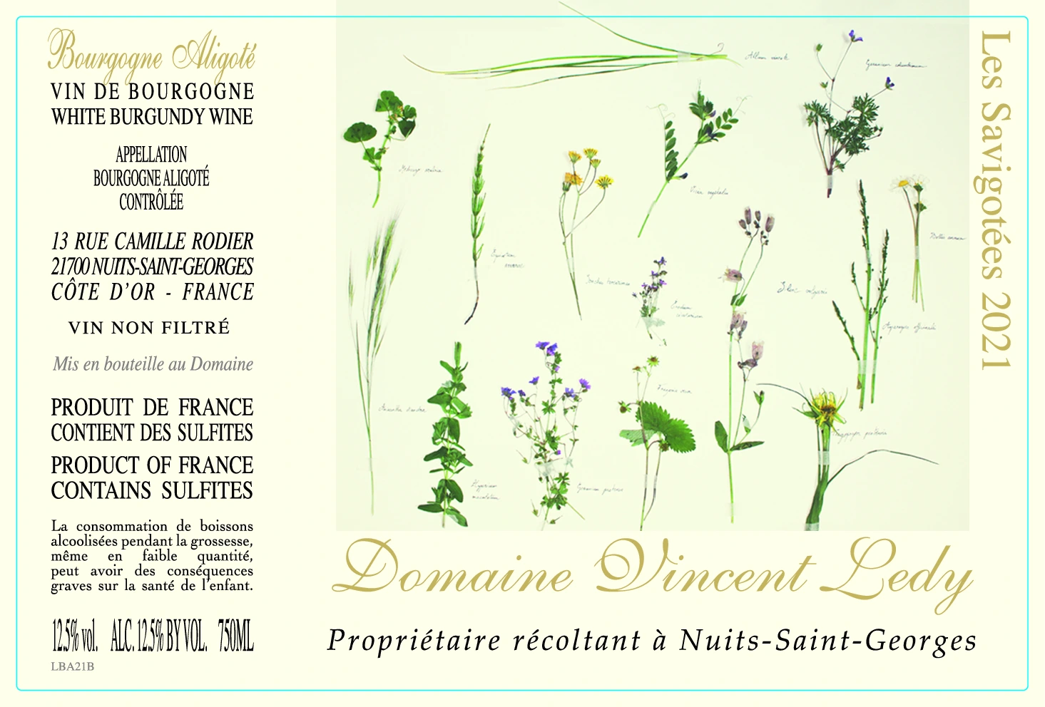 Etiquette du domaine de Vincent Ledy, Savigoté 2021
