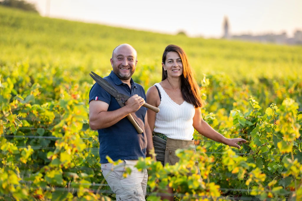 Le Domaine Vincent Ledy, à Nuits-Saint-Georges, produit des vins profonds et sincères, vinifiés sans artifice. Une vision artisanale et vivante de la Bourgogne.