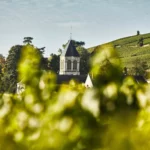 Valentin Leflaive Valentin Leflaive